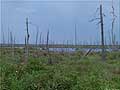 Guy Fanguy - Artist - Photographer - Guy Fanguy - Louisiana - Houma - Bayou Salle Road (7).jpg Size: 74865 - 11